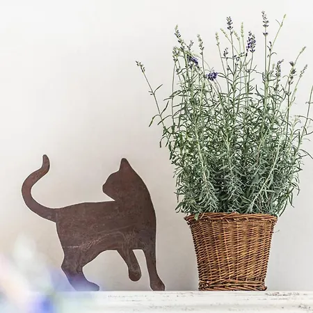 Borgo Dei Gatti Diffuso & *