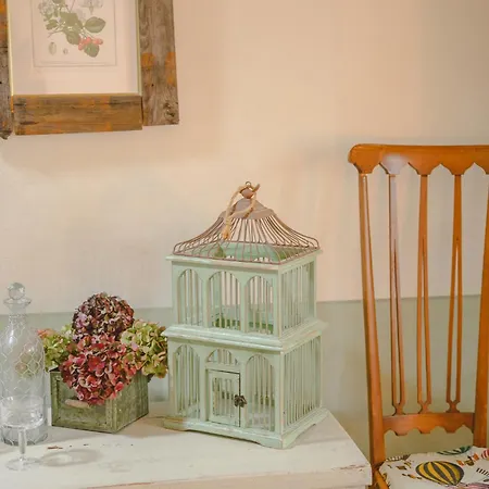 Hotel Borgo Dei Gatti Diffuso & Golferenzo
